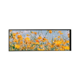 7.84 long strip LCD. 