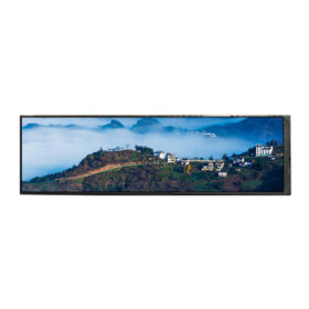 HSD088IPW1-A00 8.8-inch 1920x480 IPS HB Bar Dispaly MIPI interface-2. 