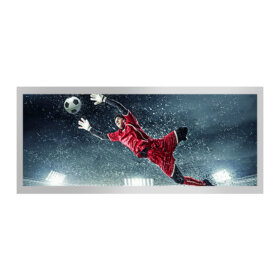 HSD103KPW2-A10 10.3-inch 1920x720 sRGB IPS pro Bar Display High Brightness-2. 