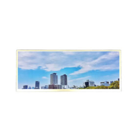 JJ103IA-12A-TFT-10.3inch-1920x720-LVDS-2. 