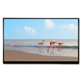AV128FHM-NV0-12.8inch-TFT-1920x1080-LVDS-2. 