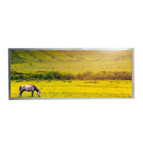 LQ123B5RW01-12.3inch-TFT-1440x540-RSDS-2. 