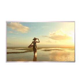 P215HAN02.0-TFT-21.5inch-1920x1080-LVDS-3. 