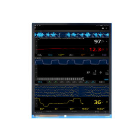 EV095GRM-A40 9.5 Inch TFT LCD Display 1020×1200 LVDS SPI High Brightness LCD Display For Healthcare Medical Display Solution. 